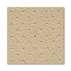 R394-030 - Hardtop Headliner