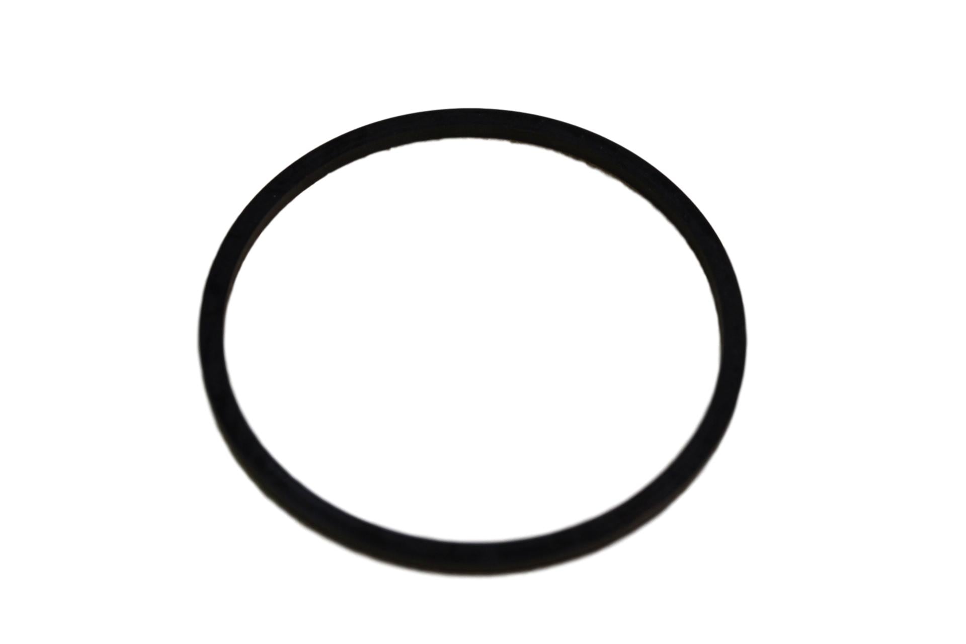 B205-004 - Fuel Filter O-Ring