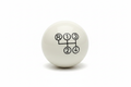 Ivory Shift Knob — White Background Landscape